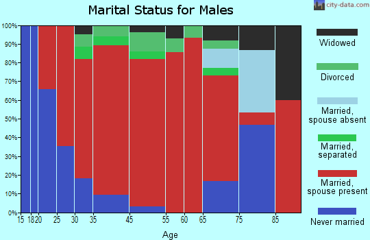 Wawarsing marital status for males