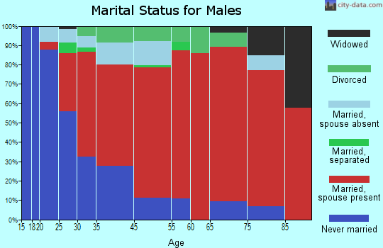 West Turin marital status for males