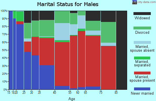 Mountain Empire marital status for males