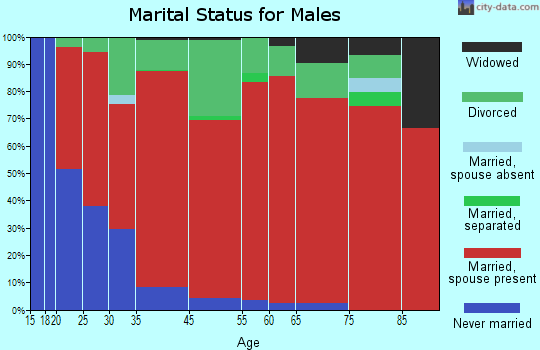 East Bryan marital status for males