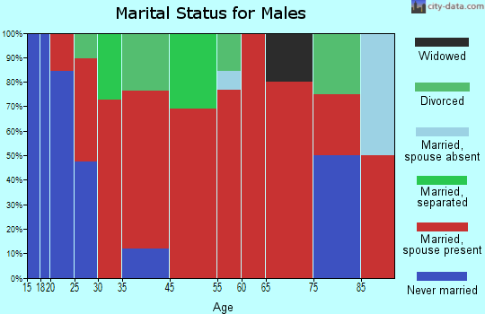 East Logan marital status for males