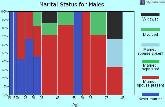 North Craig marital status for males