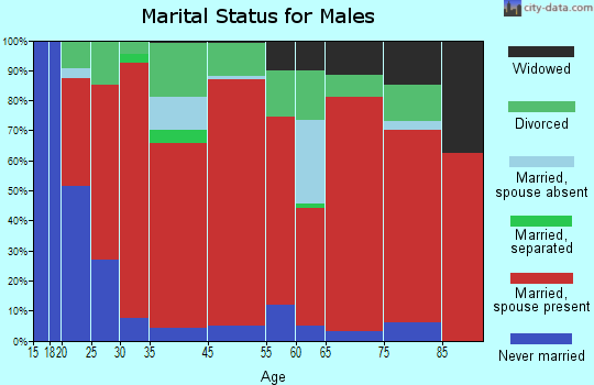 Shamrock-Heyburn Lake marital status for males