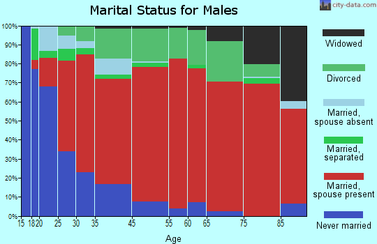 South Beaver marital status for males