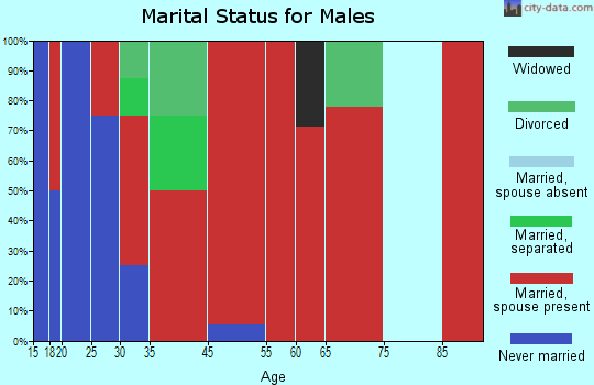 South Bryan marital status for males