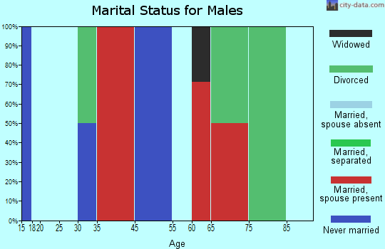 South Central Pontotoc marital status for males