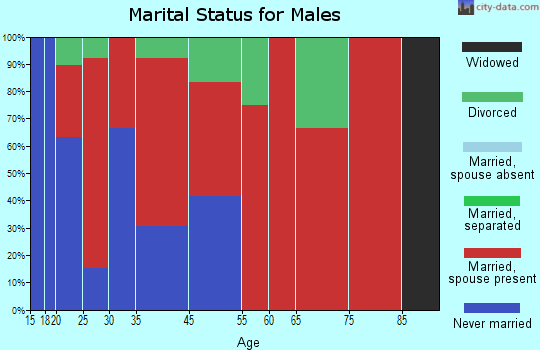 South Ellis marital status for males