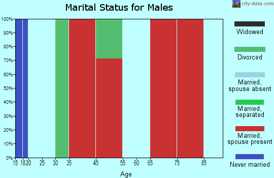 South Latimer marital status for males