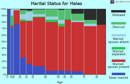 South Wagoner marital status for males