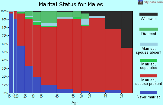 Southwest Pontotoc marital status for males