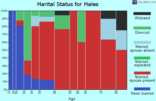 West Atoka marital status for males