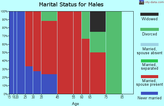West Johnston marital status for males