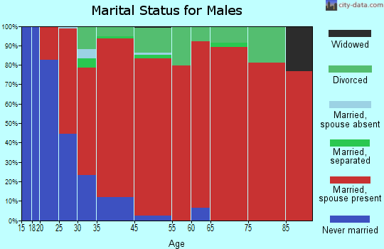 Agate Beach marital status for males