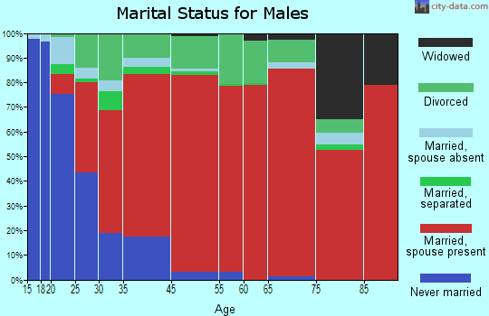 Ashwood marital status for males
