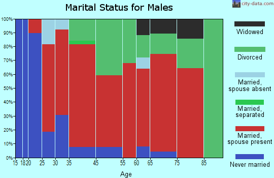 Brogan marital status for males