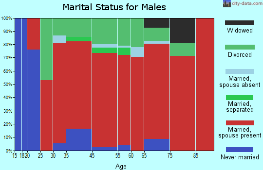 Malheur Junction marital status for males