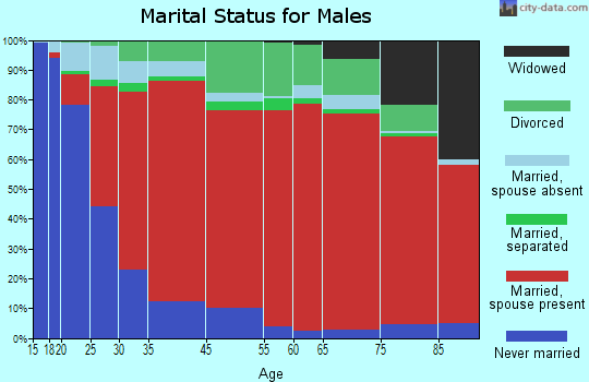 South Coast marital status for males