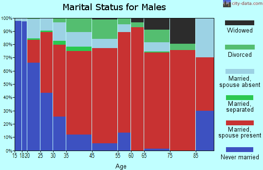 Southwest San Gabriel Valley marital status for males