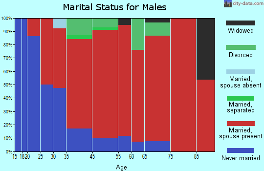 Glocester marital status for males