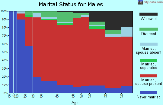 Jamestown marital status for males