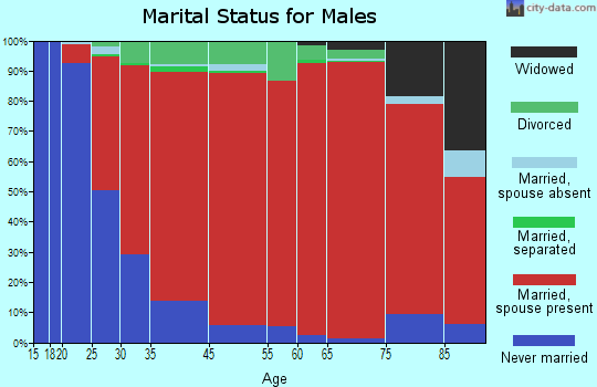Johnston marital status for males