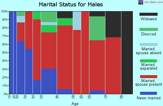 Ashwood marital status for males