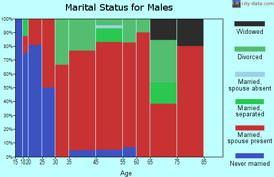 Brittons Neck marital status for males