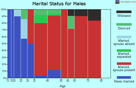 Brushy Creek marital status for males