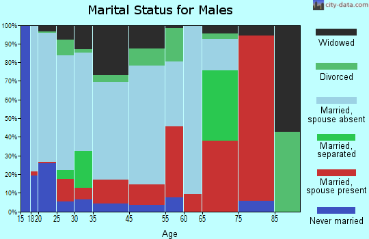 Fort Motte-Lone Star marital status for males