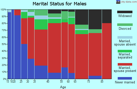 Nesmith marital status for males