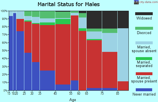 Sampit-Santee marital status for males