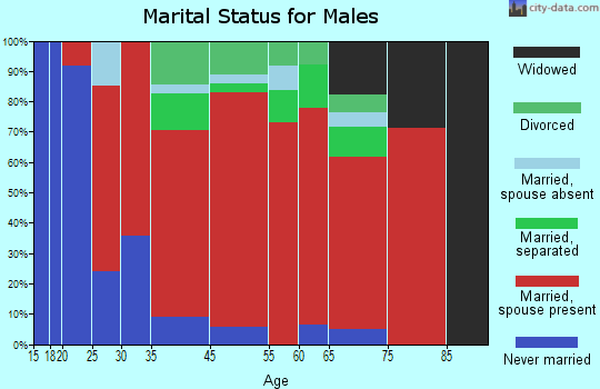 Wadmalaw Island marital status for males