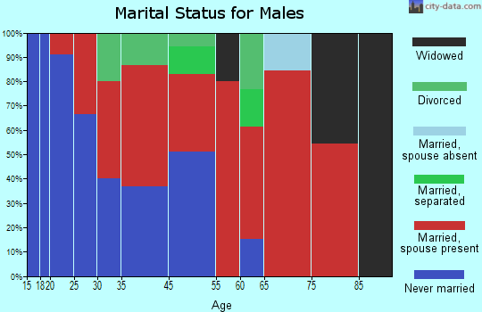 West Springs marital status for males