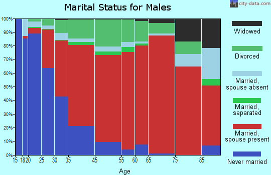 Bald Mountain marital status for males