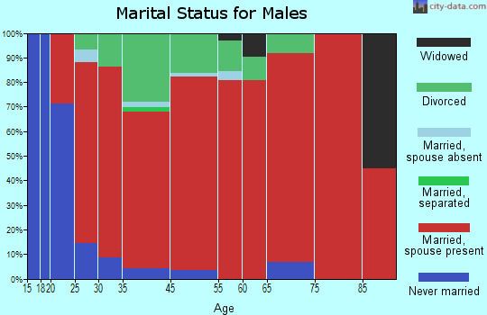 Bakerville-Bold Spring marital status for males