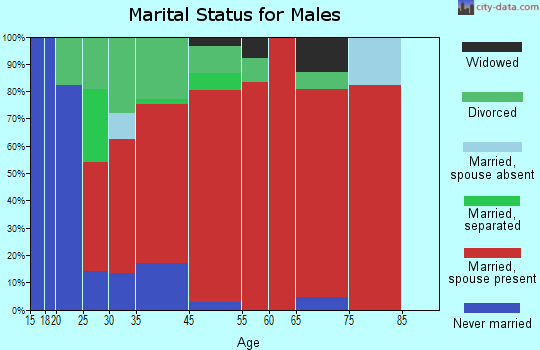 Bean Station marital status for males