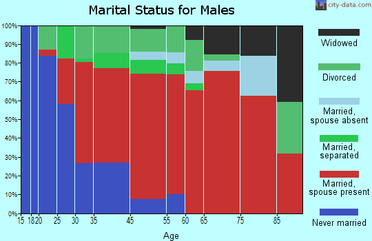 Beech Springs marital status for males
