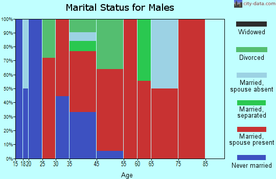 Belleview marital status for males