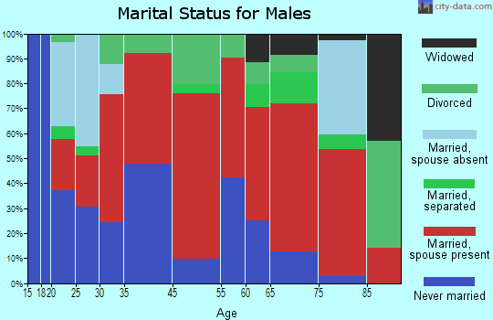 Big Spring-East View marital status for males
