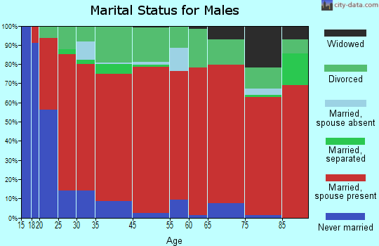 Biltmore marital status for males