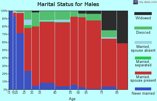 Bluff City-Piney Flats marital status for males