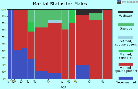 Calhoun-Riceville marital status for males