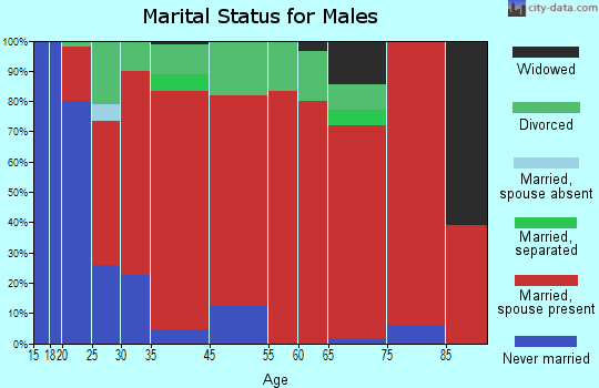 Campaign marital status for males