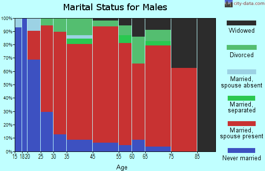 Chestnut Hill marital status for males