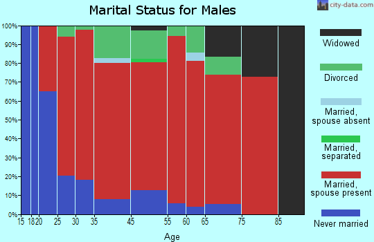 Clifton-Natural Bridge marital status for males