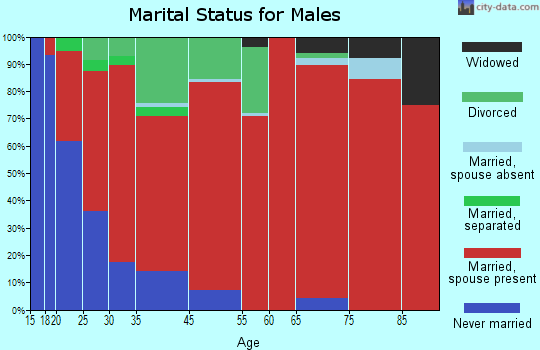 Elk Valley marital status for males