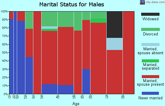 Fayette Corners marital status for males