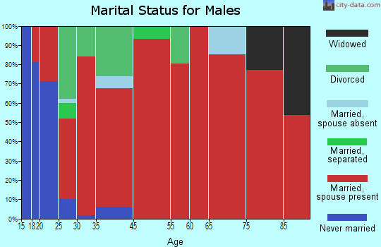 Holston Valley marital status for males