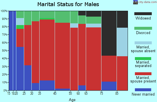 Indian Mound-Bumpus Mills marital status for males