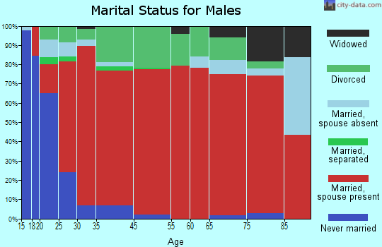 Laurel Fork marital status for males